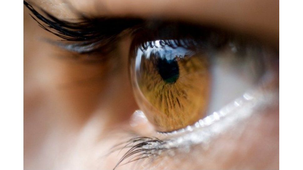 Color de los ojos
