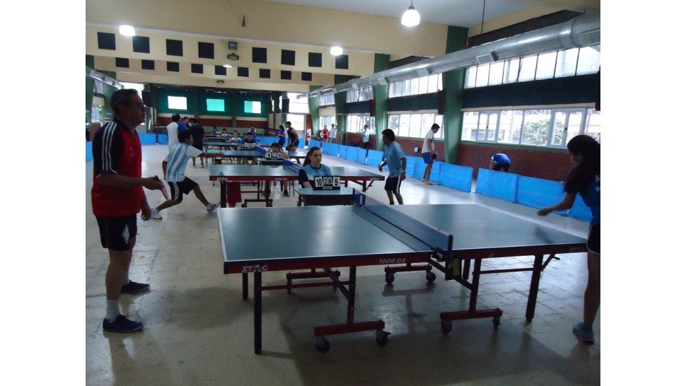 Tenis de mesa - Perico