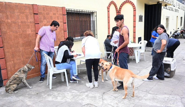 Vacunación antirrábica &nbsp;