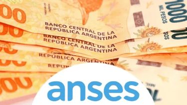 Cronograma de Anses para este viernes 14 de julio