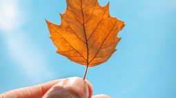 ¿Cuándo empieza el otoño 2023 en Argentina?