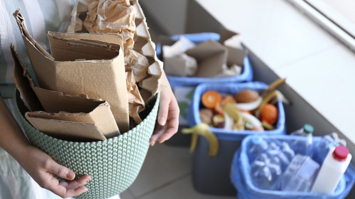 Ni plástico ni madera: el material más económico que podés usar para reciclar