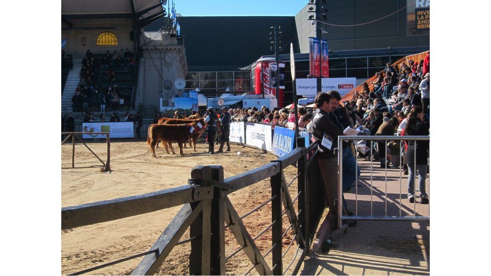 Expo Ganadería, Agricultura e Industria
