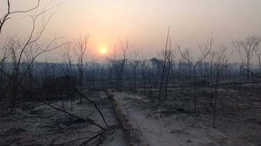 El Servicio Nacional de Manejo del Fuego trabajará en el Ramal para asistir los incendios forestales&nbsp;