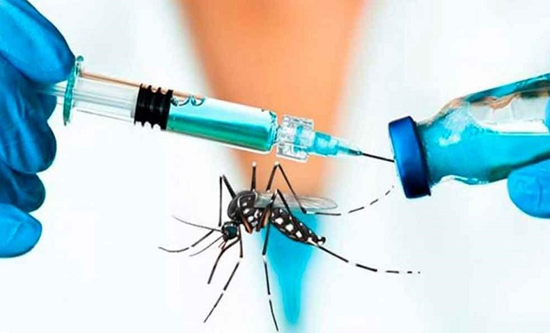 Vacunas contra el dengue (Foto ilustrativa)