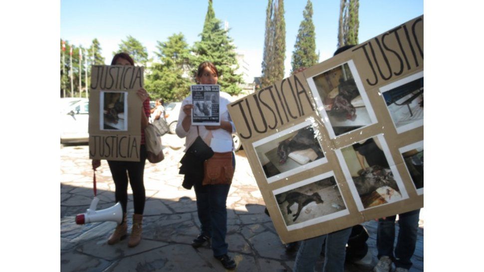 Marcha de protectoras