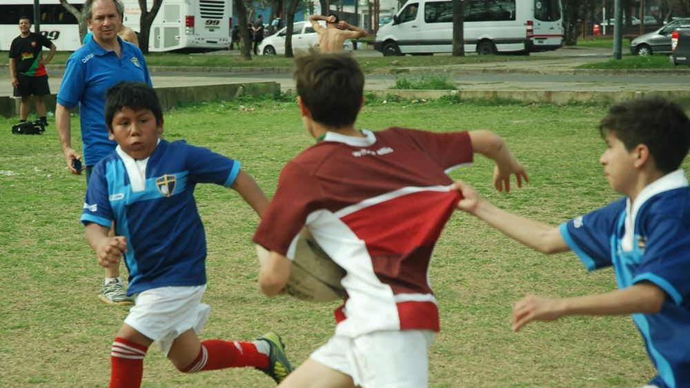 Rugby integrador