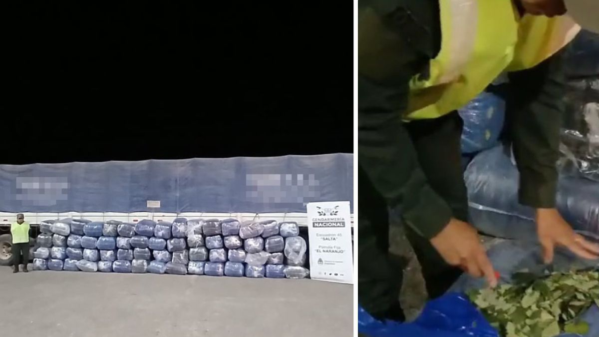 Un camión quesalió de Palpalá con una tonelada de hojas de coca fue detenido en Salta