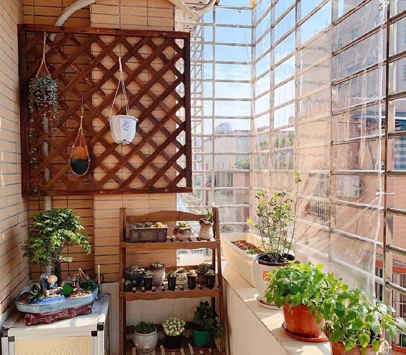 Llega el frio y es momento de cuidar las plantas de exteriores e interiores por las bajas temperaturas y el exceso de calefacción.