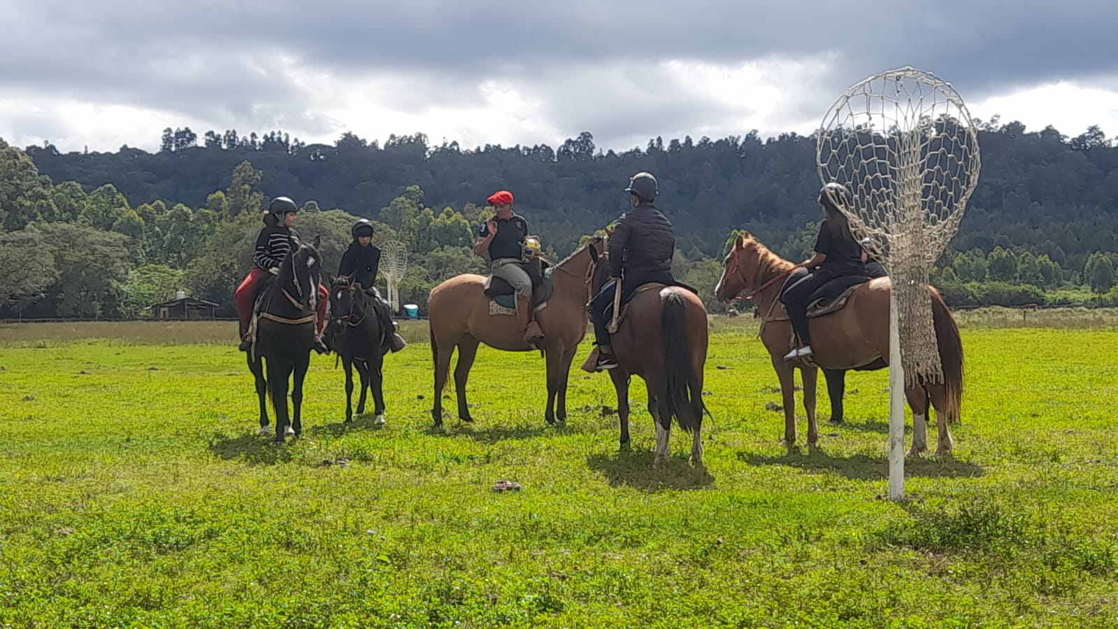 Pato adaptado en Jujuy