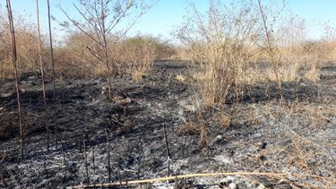 Una quema de pastizales provocó un gran incendio en Alto Comedero
