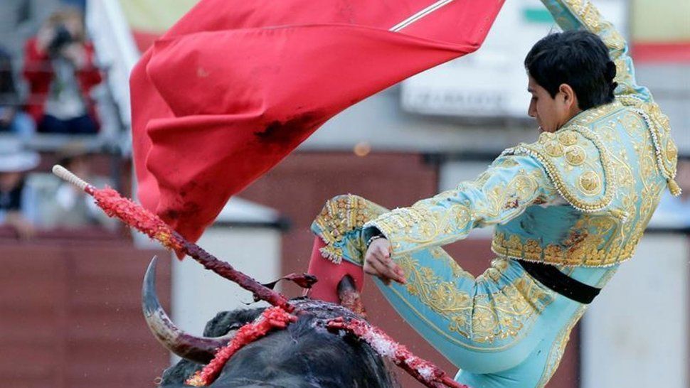 ¡Que dolor! Un torero mexicano recibió una terrible cornada en los testículos
