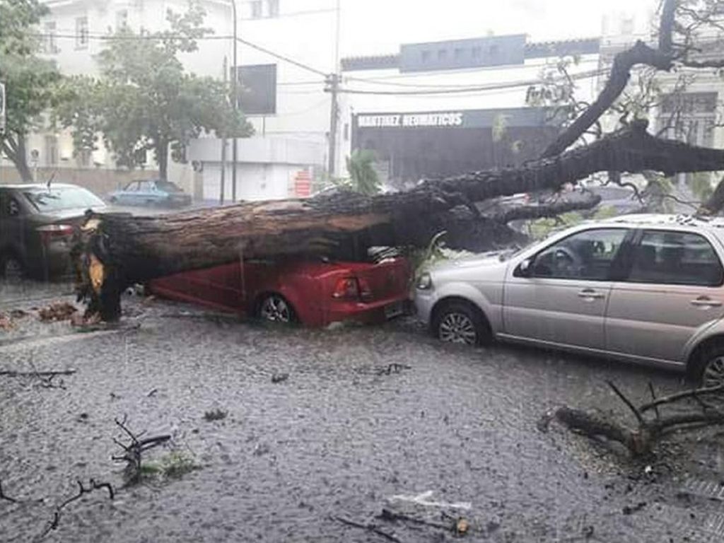 Temporal en Salta