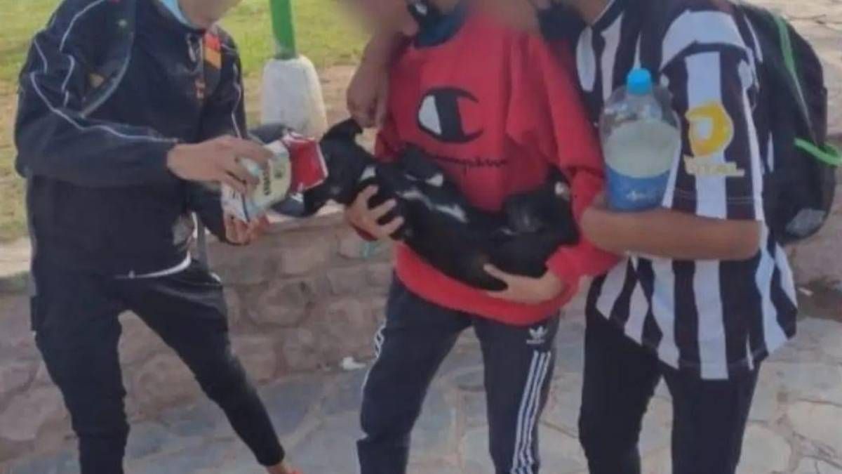 Los chicos de Maimará aclararon la situación, no le dimos vino&nbsp; al perro, era comida &nbsp;