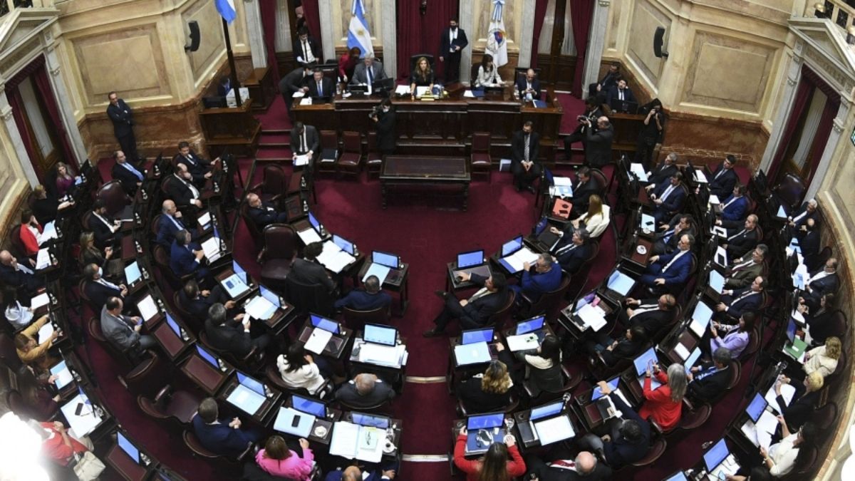 La iniciativa que propone crear un Fondo Nacional para cancelar la Deuda con el FMI recibió el aval de 37 votos positivos contra 31 negativos.