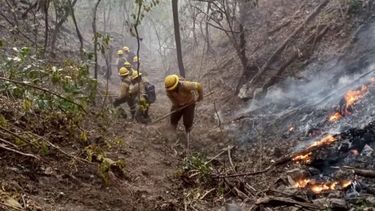 375 incendios en Jujuy desde julio