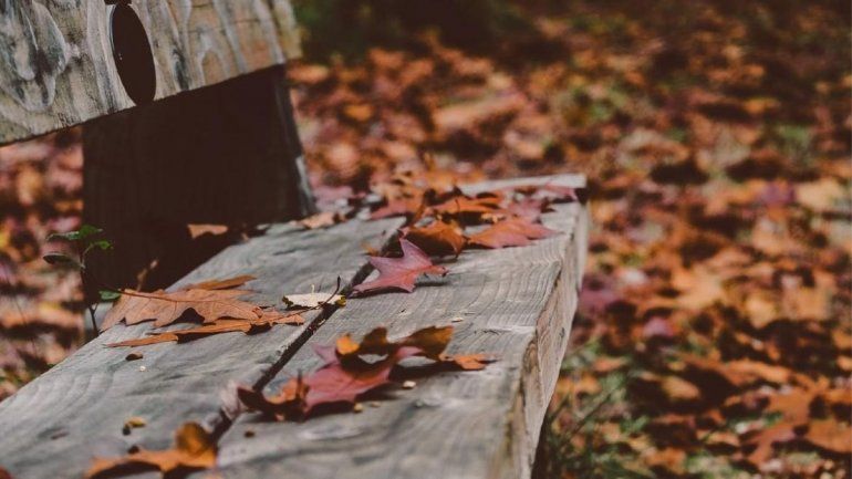 Otoño. /Imagen ilustrativa