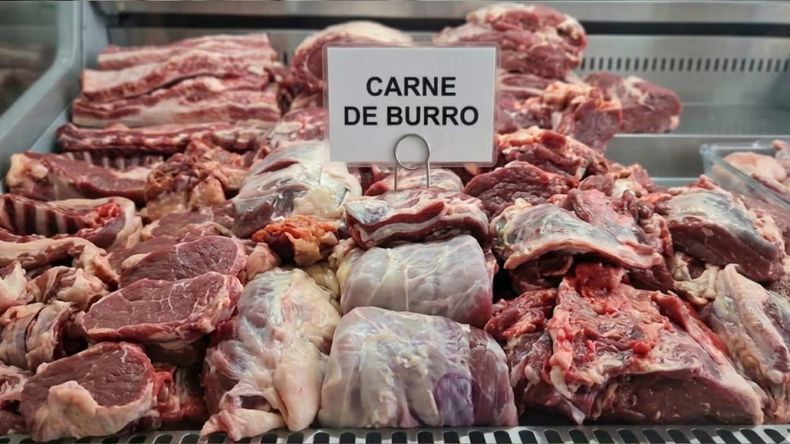 Carne de burro - Foto de archivo 