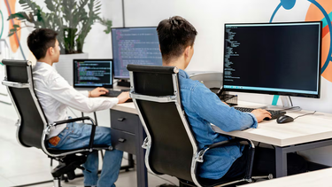 Ingeniero en Sistemas. Ingeniero en Sistemas.