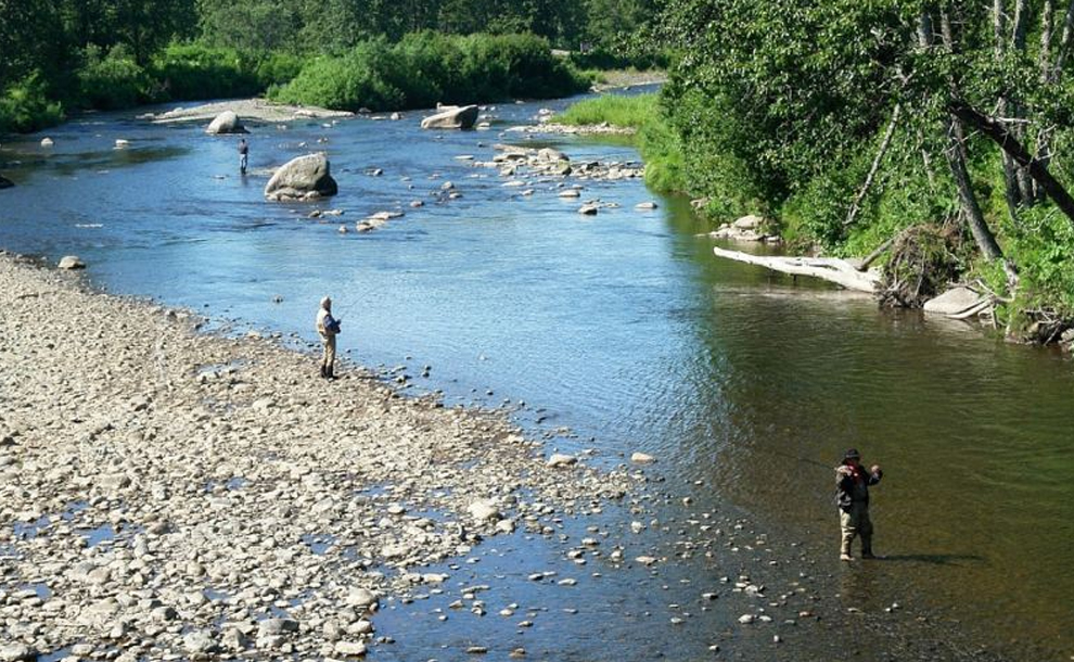 Jujuy: rige veda de pesca deportiva en los ríos San Francisco y Lavayén desde el 27 de octubre