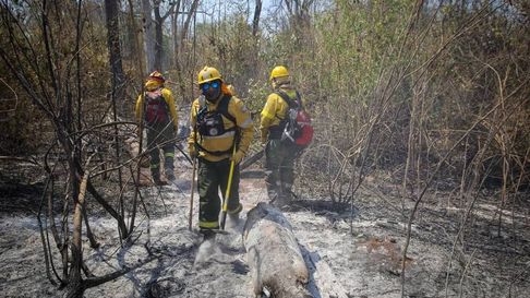 Todo Jujuy | incendios forestales jujuy.jpg