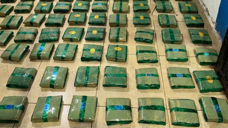 Hojas de coca secuestradas en Tucumán