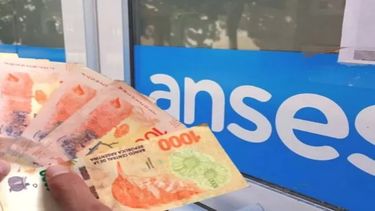 SUAF aumentará cada categoría a partir de marzo.