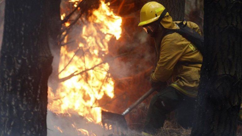 Incendios en Jujuy - 