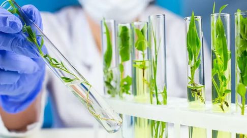 Todo Jujuy | biotecnologia (1).jpg