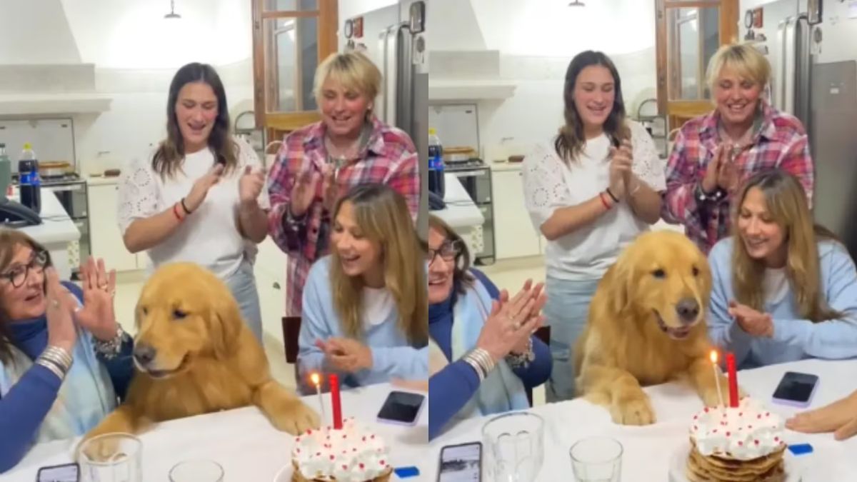 La emoción del perro se divulgó en las redes sociales.