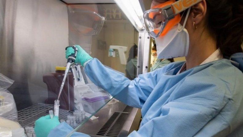 Científicos del Malbrán descifraron el genoma del coronavirus