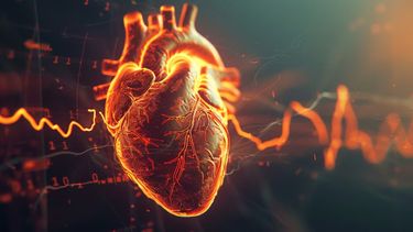 Se registran 40 mil infartos al año en Argentina y crece la preocupación por los casos en jóvenes. &nbsp;