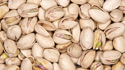 El&nbsp;cultivo&nbsp;de&nbsp;pistacho&nbsp;se caracteriza por su resistencia, además de la poca exigencia en determinados aspectos. Normalmente, este tipo de&nbsp;cultivo&nbsp;se produce normalmente en secando, pero con la ayuda del riego sí que se puede aumentar su producción y zonas de cultivo potenciales.