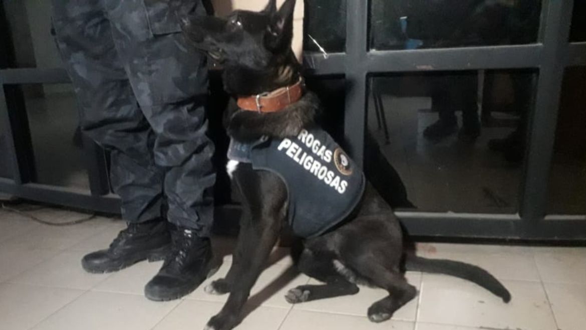 Fue destinada a la Agencia Provincial de Delitos Complejos.