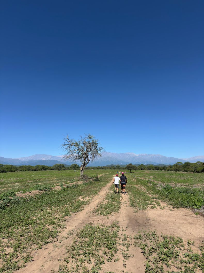 Agostini Desarrollos Inmobiliarios  