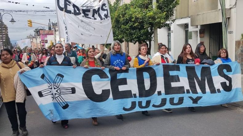 Paro del CEDEMS