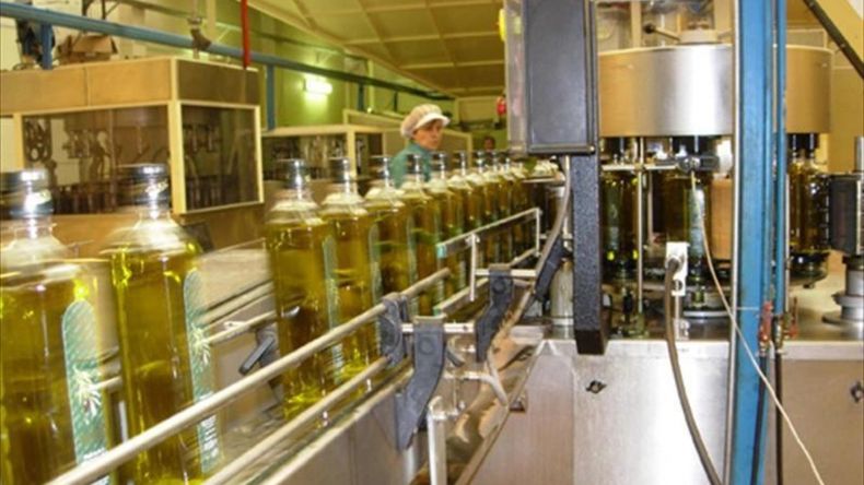 Efemérides: hoy es el Día Nacional del Aceitero.&nbsp;