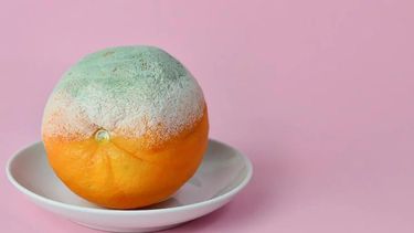 El error común al encontrar moho en la fruta de la heladera. &nbsp;
