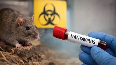 Qué es el hantavirus y cómo prevenir el contagio.