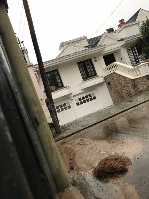 puma en los perales.jpg