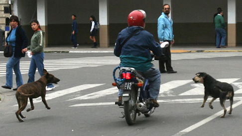 Todo Jujuy | image.png