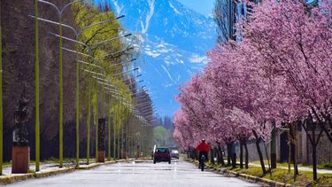 Escapadas: Mendoza y un pueblo que esconde magia y paisajes hermosos
