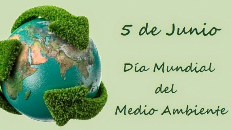 Conoce por qué hoy se celebra el Día Internacional del Medio Ambiente