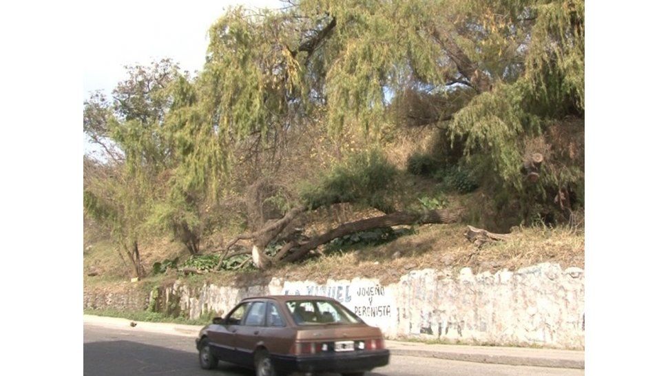Barrancas de Castañeda