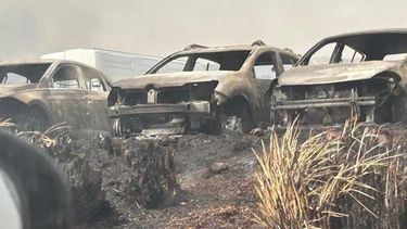 El Incendio en el Parque Nacional Quebrada del Condorito tiene a Córdoba en alerta
