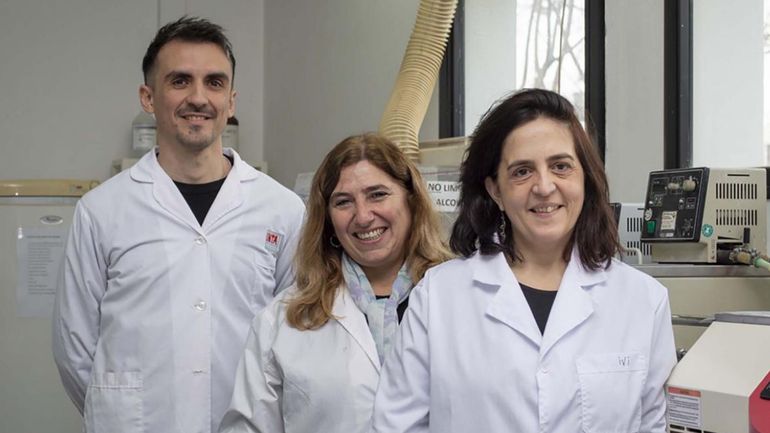 Investigadoras del Conicet y los mosquitos resistentes a los insecticidas