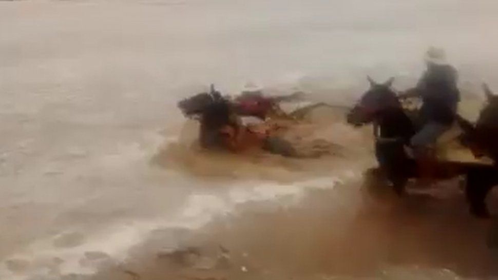 salta: gaucho intento cruzar a caballo un rio crecido y los arrastro la corriente