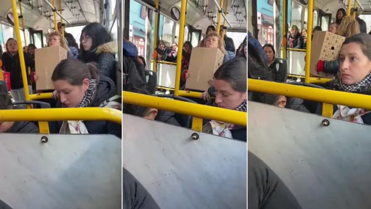 Una mujer subió al colectivo con su perro y terminó peleando con los pasajeros.