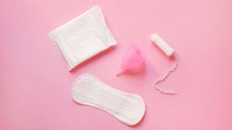 Presentaron el Programa Nacional MenstruAR