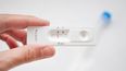 Autotest: habrá que informar el resultado a las farmacias.&nbsp;